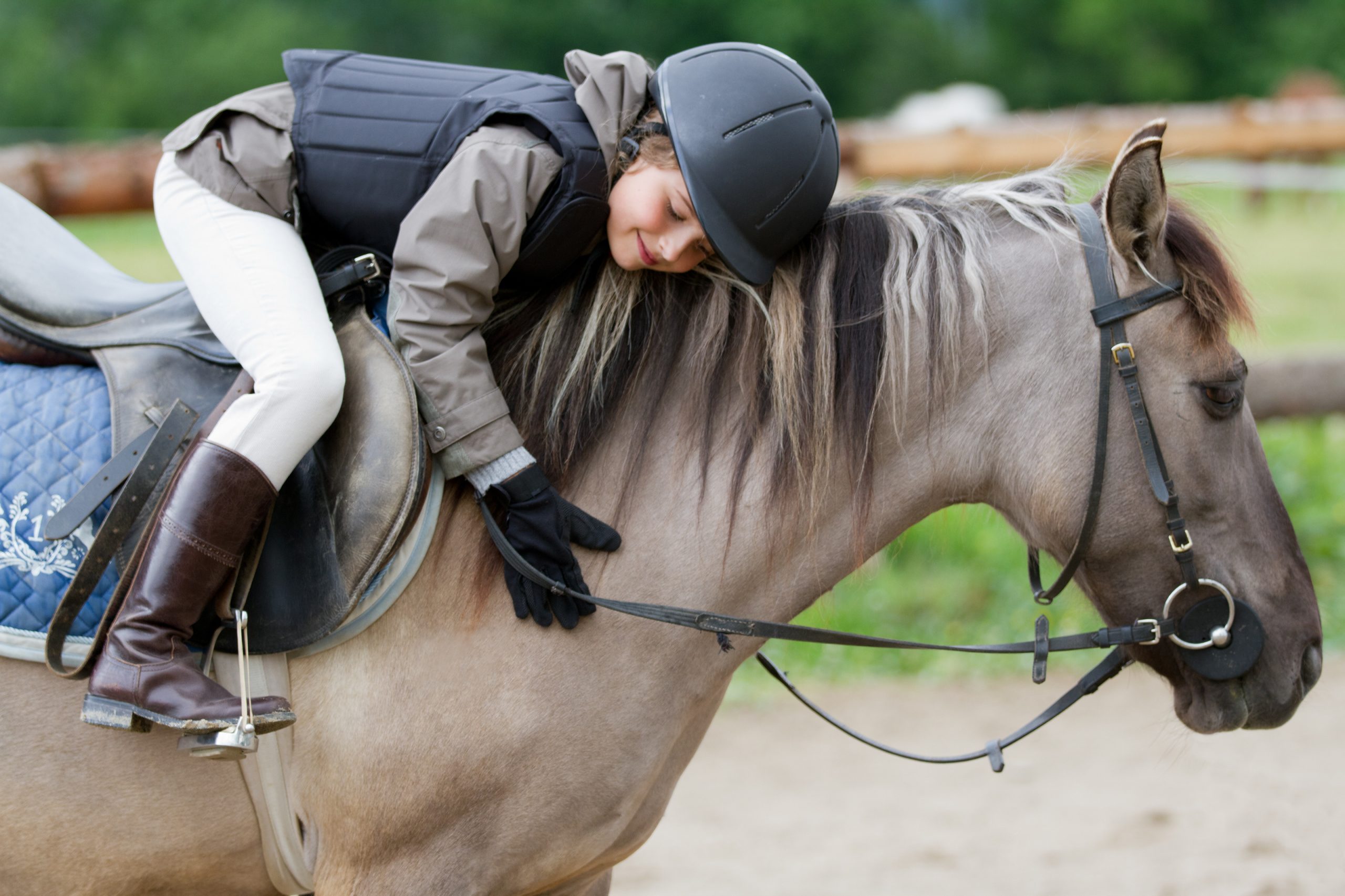 Honey and Horse Care