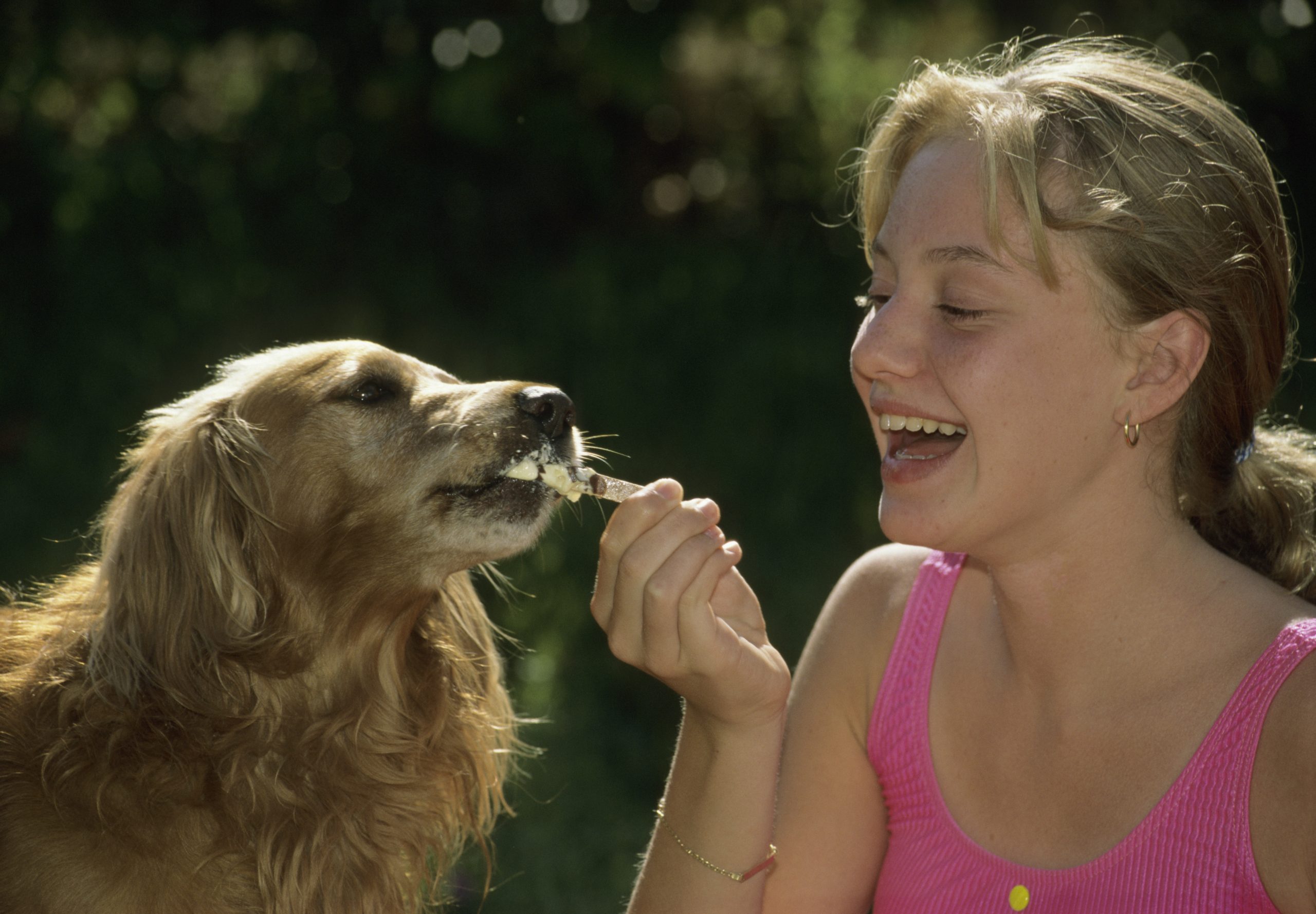 Honey and Pets