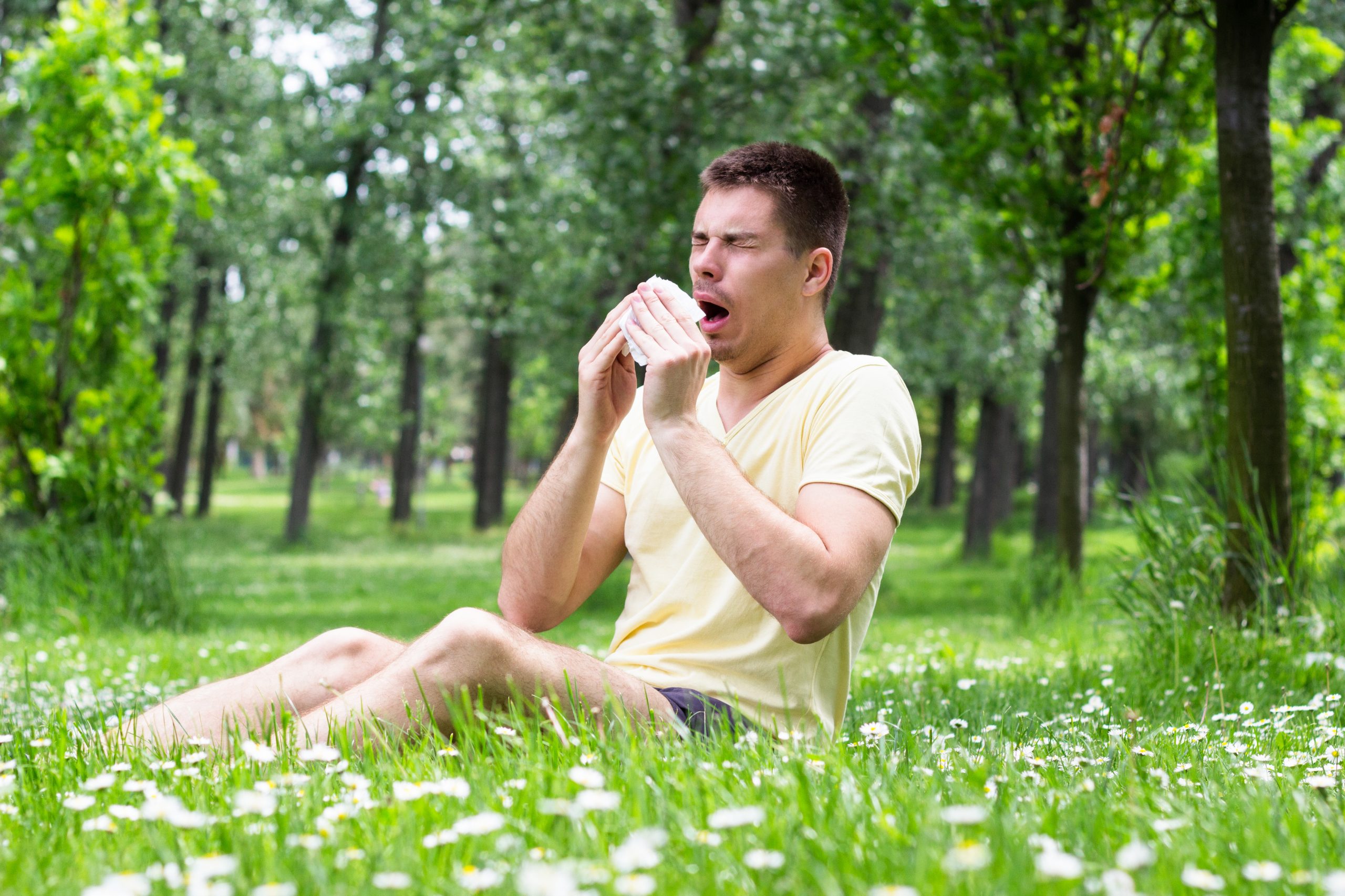 Does Eating Local Honey Help with Allergies?