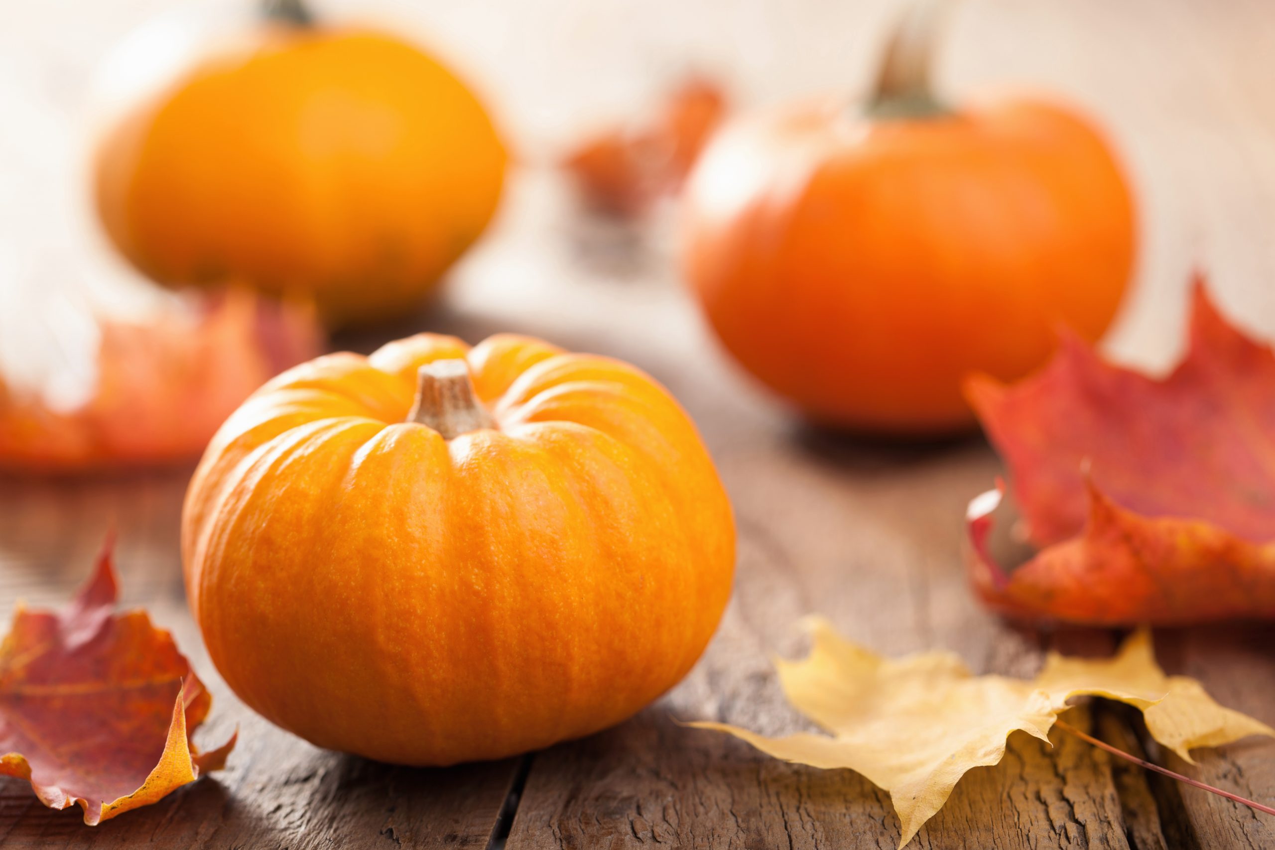 Honey Pumpkin Dressing