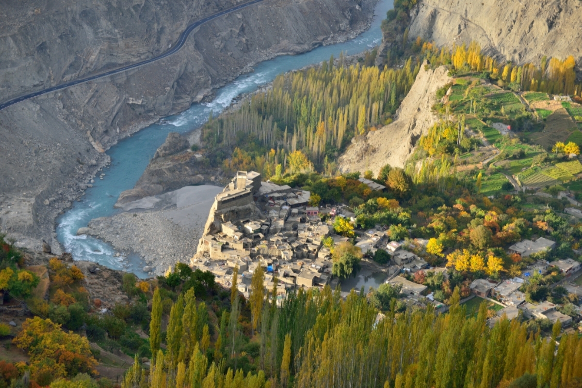 Pakistan Latest Country to Experience Massive Honeybee Loss