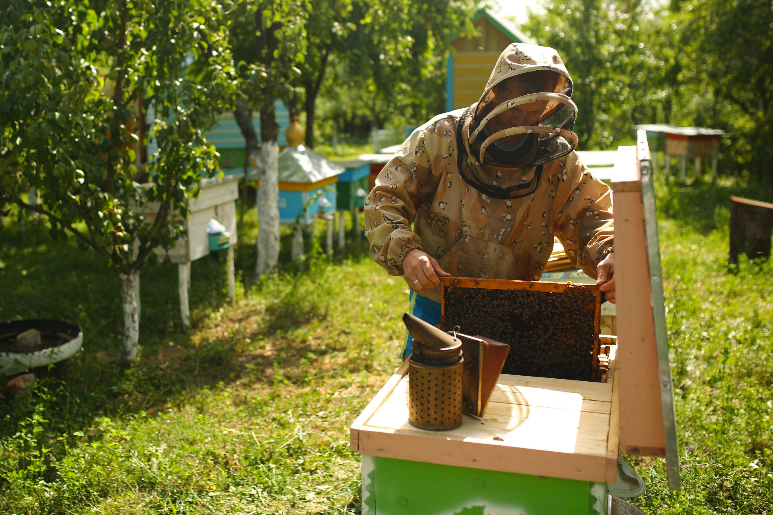 When He is Not Saving Lives, He is Making Honey!