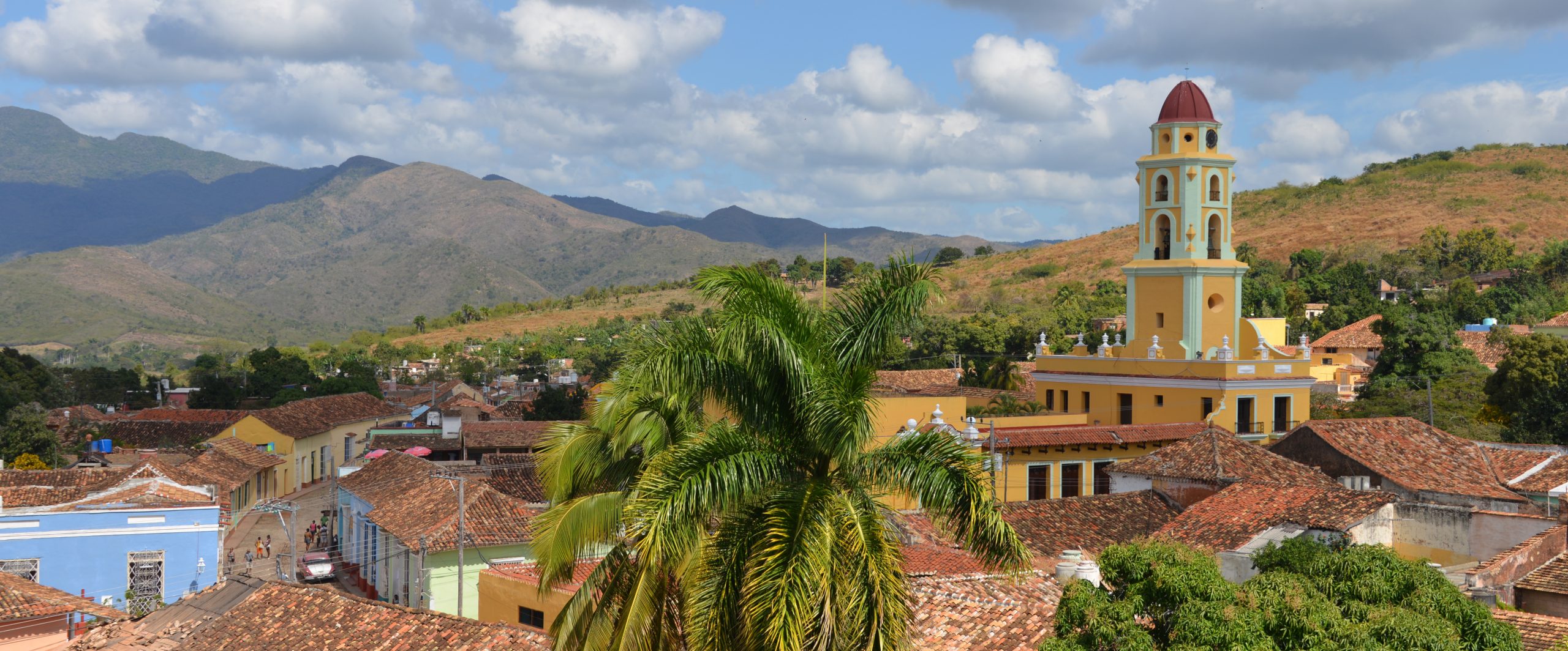 Should the U.S. Emulate Cuba’s Organic Honey Industry?