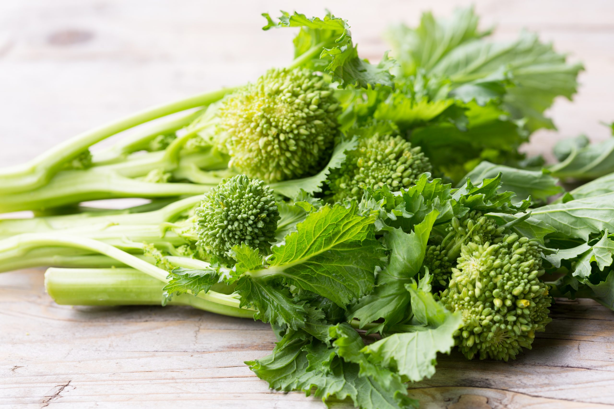 Broccoli Raab: Good for Us and the Honeybees