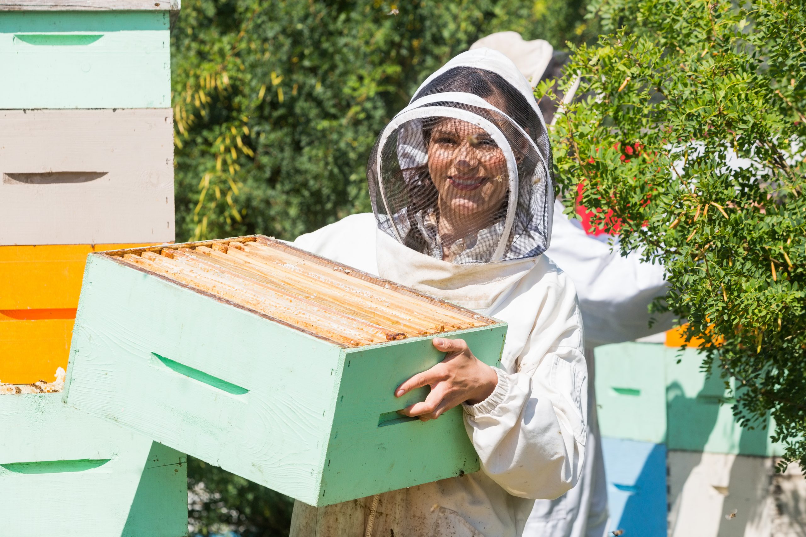 Penn State Undergrad Promoting Honeybees