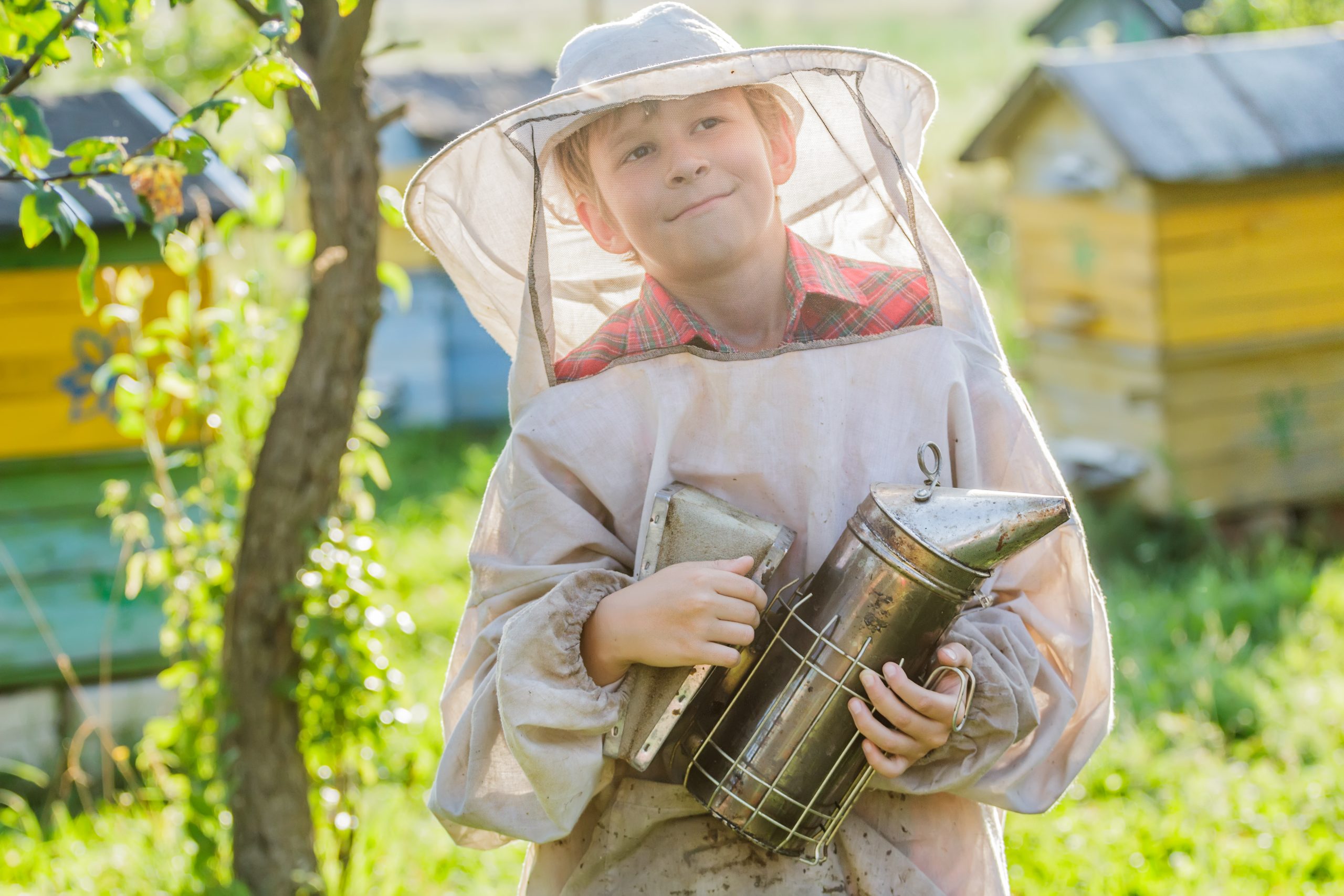 Seven-Year-Old Beekeeper: New Honey Competition