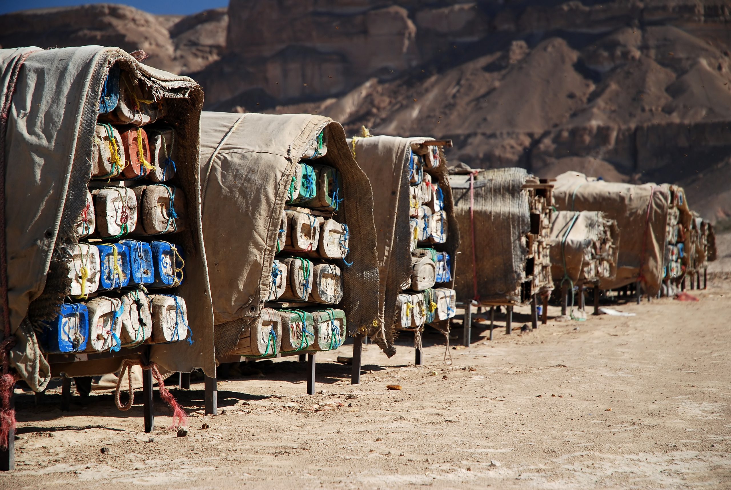 Yemen Honey Industry Threatened by Civil War