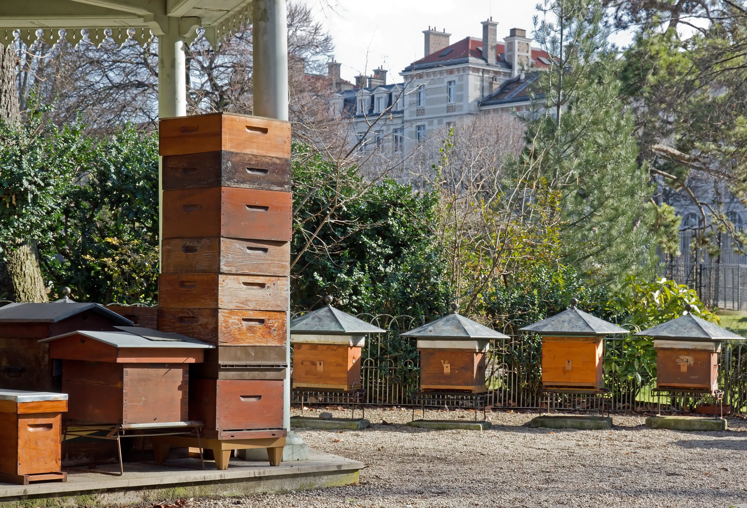 New York City Honeybees and Their Diets