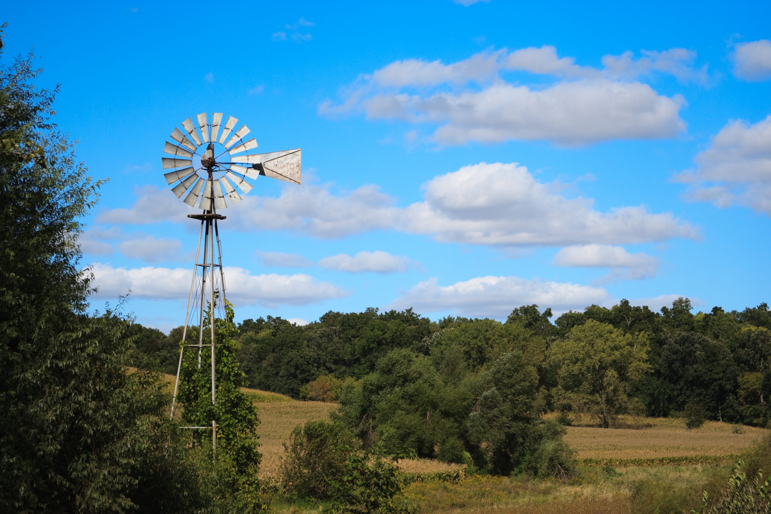 Iowa Honey Bouncing Back in Style