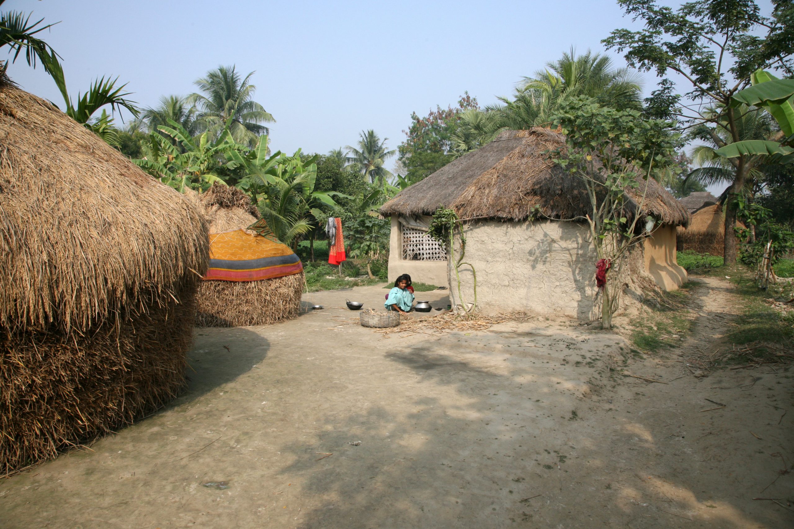 Honey Hunting in the Bangladeshi Sundarbans