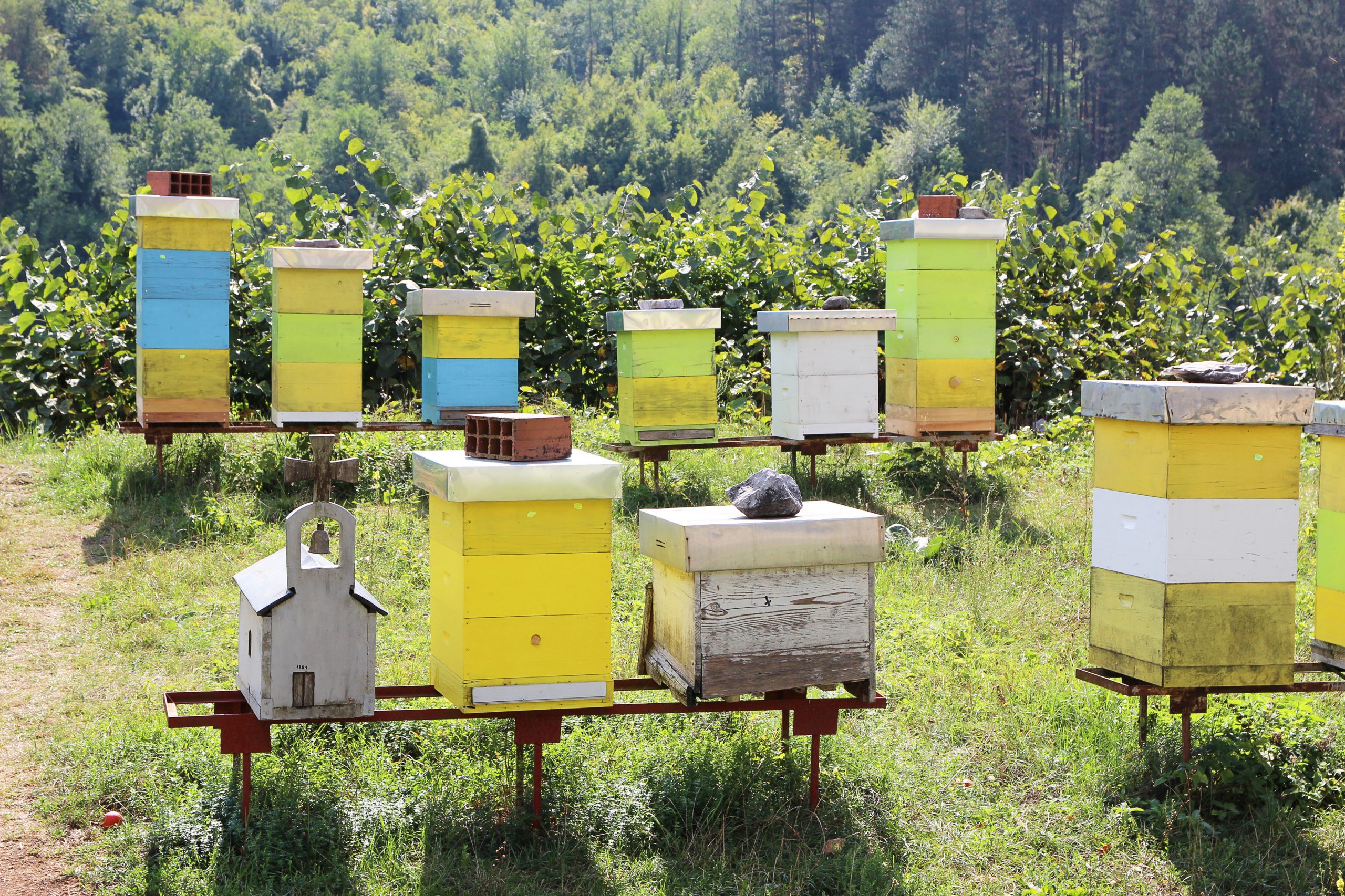 Beehives’ ID Numbers Provide Clues After Theft