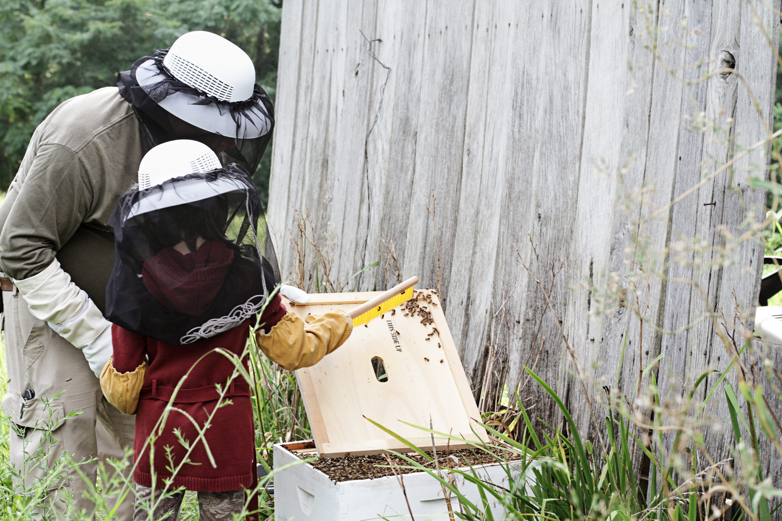 Carthage Six-Year-Old Running a Honey Business