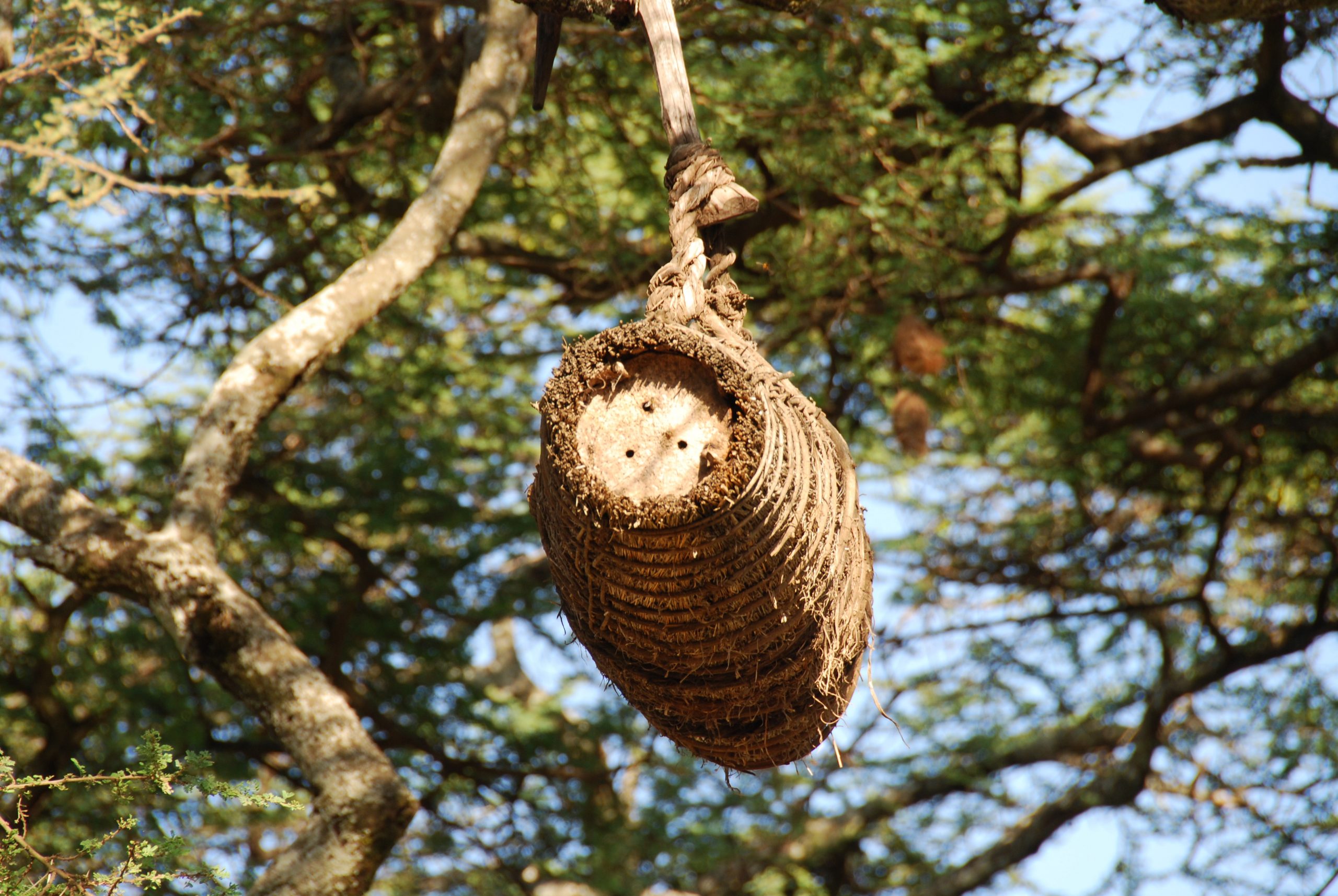 Beekeeper from Yemen Keeping Up Family Business