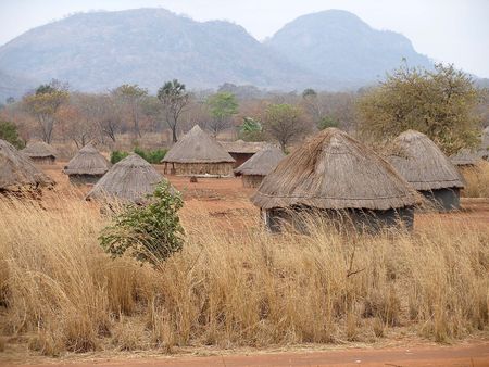 Honeyguides: Uniting People and Honey in Mozambique