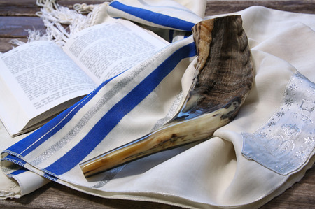 Israel Sees Fewer Bee Losses