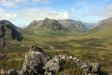 Scotland Suffering a Lack of Beekeepers