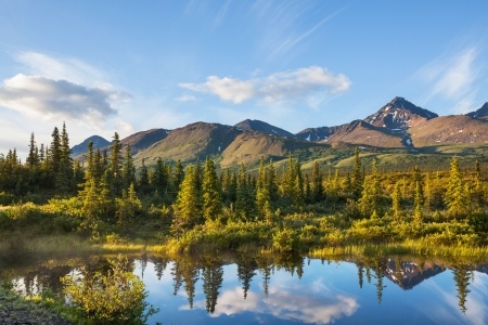 Time to Overwinter Honeybee Hives in Alaska