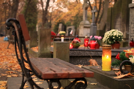 A Brooklyn Cemetery Housing Bees