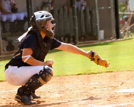 Softball Has Fans—of the Honeybee Variety