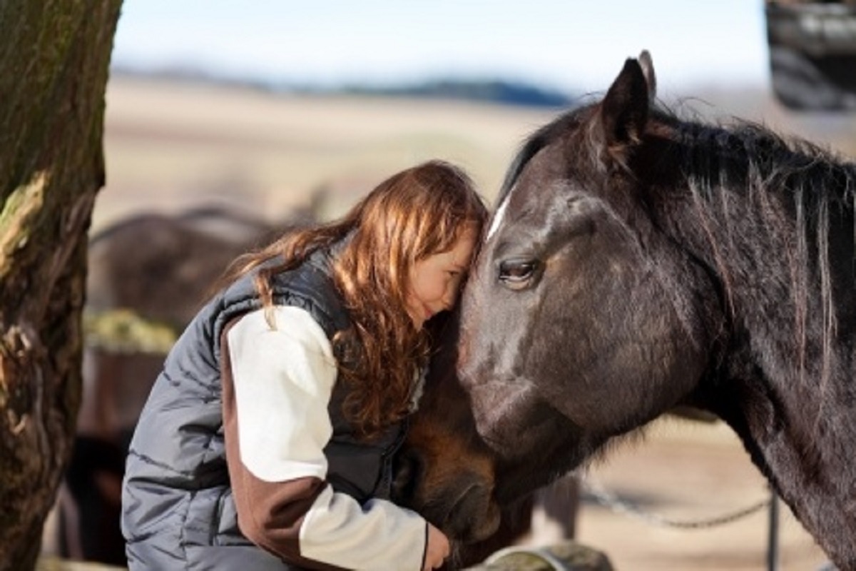 Some Common Health Concerns for Horses
