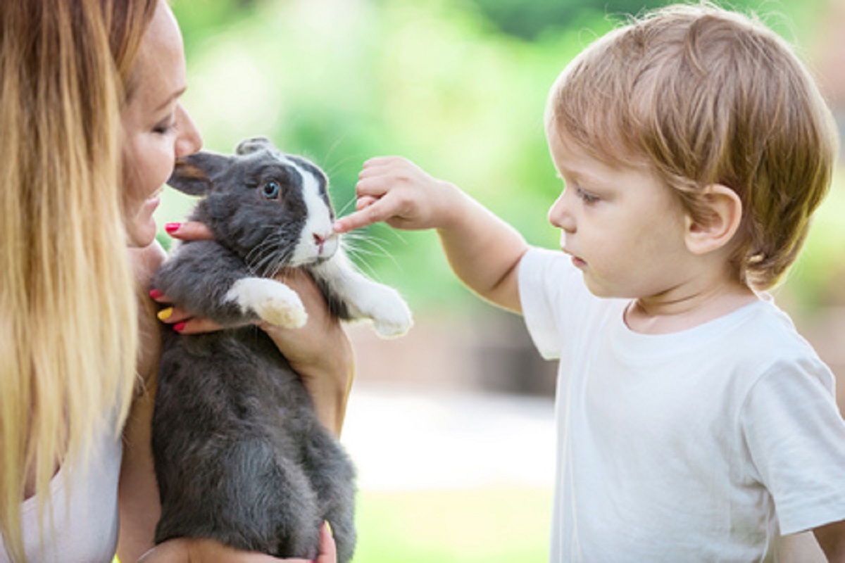 How to Treat Common Rabbit Illnesses