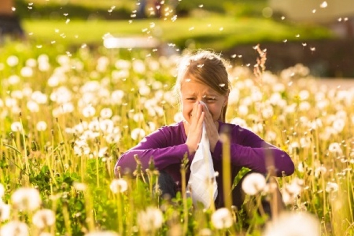 Tips for Surviving Allergy Season