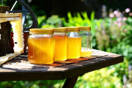 Manuka Raw Honey: Why You Need To Begin Taking It Today