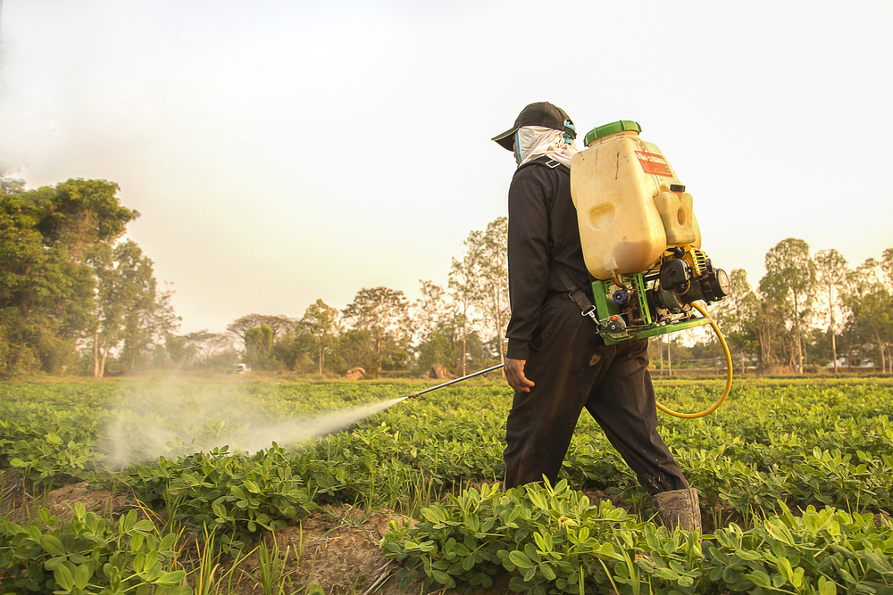 New Study Says Insecticides Deadlier Than Ever for Honey Bees