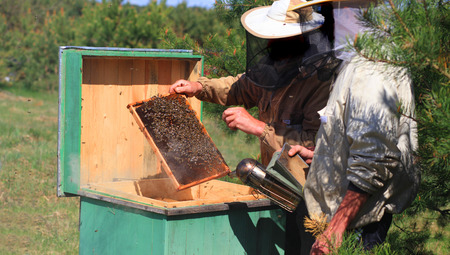 From Homelessness to Harvesting Honey