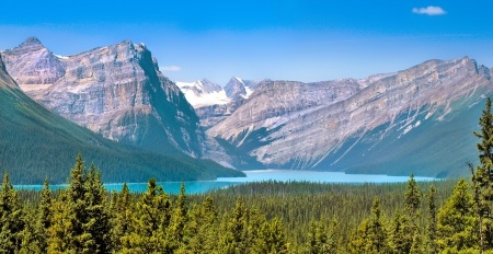 Canada Taking Care of Honeybees