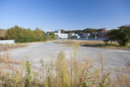 Detroit: The Place for Urban Farming and Beekeeping