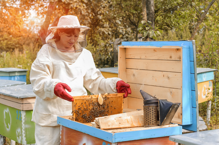 How an Animal Lover Became a Honeybee Lover