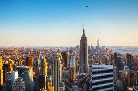 Manhattan Hotel Raising Bees and Making Honey