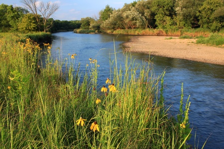 Illinois College Inspired – Creates Pollinator Habitat