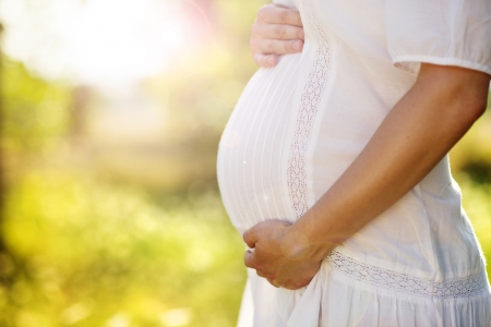 Beekeeper Has One Unique Maternity Shoot