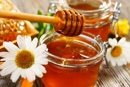 Connecticut Beekeeper Helping America Develop Honey Taste Buds
