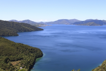 Manuka Helping Protect New Zealand Waterways