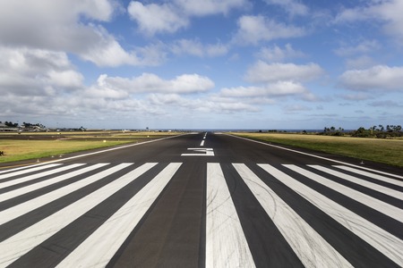 Airports Using Unused Space for Bee Hives