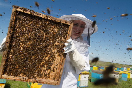 Iowa Honey Queen Spreading the Word About Bees