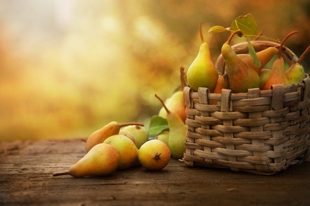 Making Roasted Pears with Manuka Honey and Walnuts!