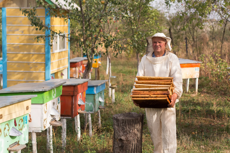 Hobbyist Beekeepers Save Hives in Virginia