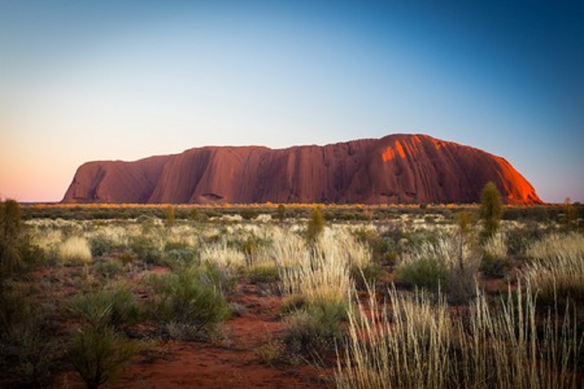 Australia Trying to Protect Its Honeybees