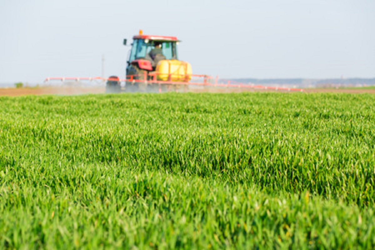 Role of Fungicides in Bee Decline