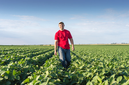 Soybean Farmers Being Taught About Bee Survival