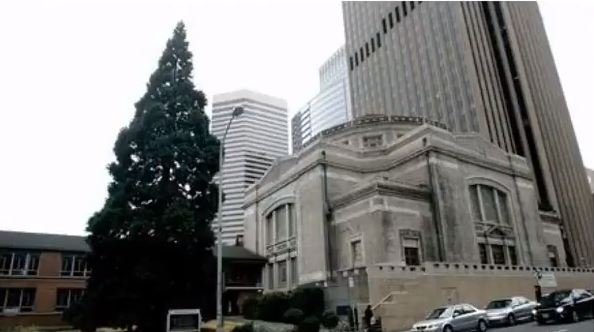 Oldest Church in Seattle to House Honeybees