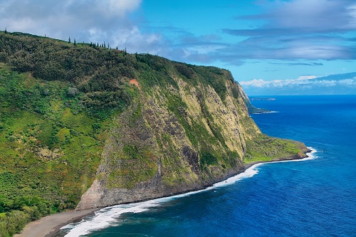 Study Reveals Hawaiian Honey Contains Roundup