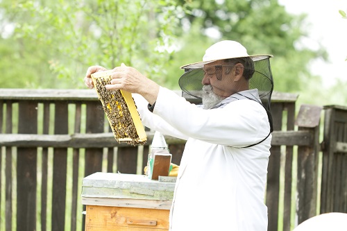 Important Changes to ELAP for Honey Bee Producers Announced by USDA