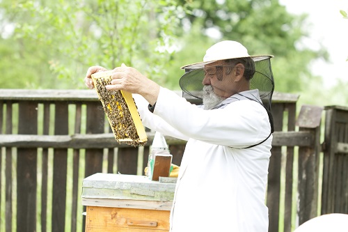 Why Smoking Calms Stressed Out Honey Bees