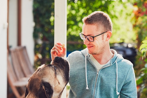 Dogs Love These Manuka Honey Peanut Butter Treats