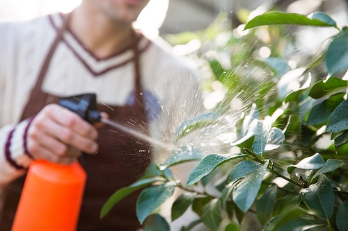 New Maine Legislation Would Limit Use of Dangerous Pesticides